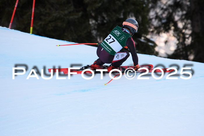 NJC Abfahr Herren, 07.02.2024
