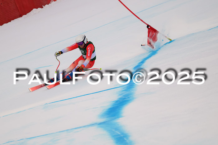 NJC Abfahr Herren, 07.02.2024