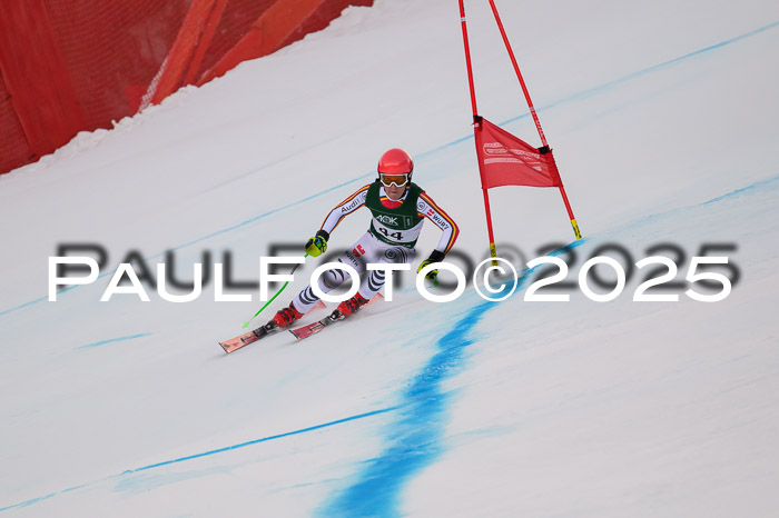 NJC Abfahr Herren, 07.02.2024