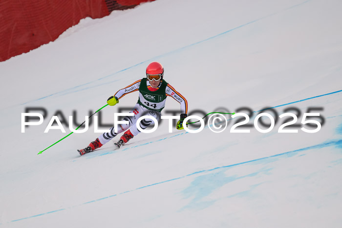 NJC Abfahr Herren, 07.02.2024