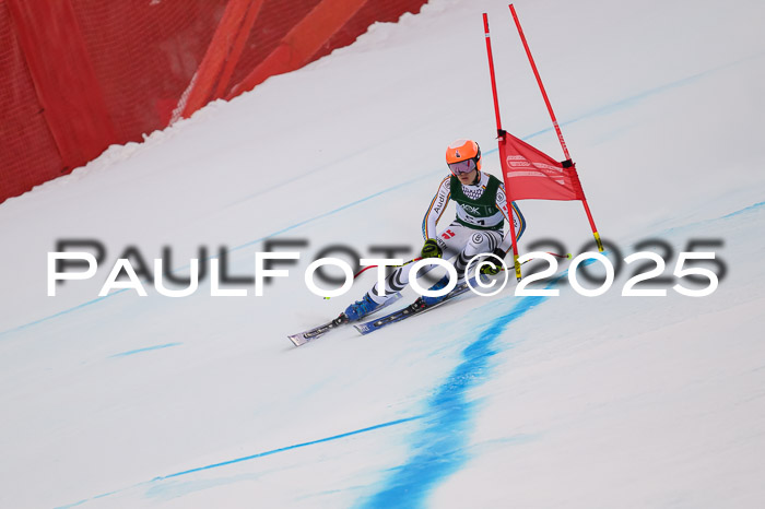 NJC Abfahr Herren, 07.02.2024