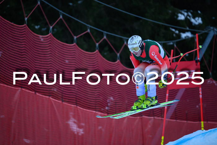 NJC Abfahr Herren, 07.02.2024