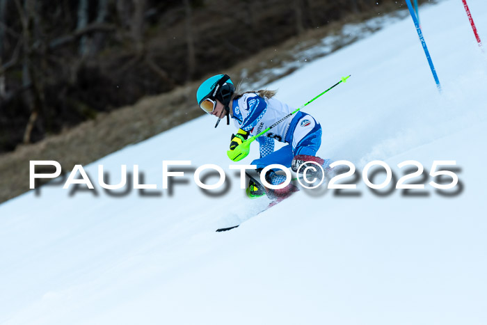 BZB CUP SL  08.02.2025    