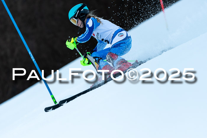 BZB CUP SL  08.02.2025    