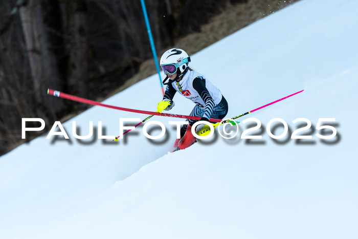 BZB CUP SL  08.02.2025    