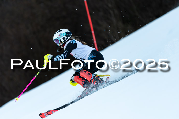 BZB CUP SL  08.02.2025    