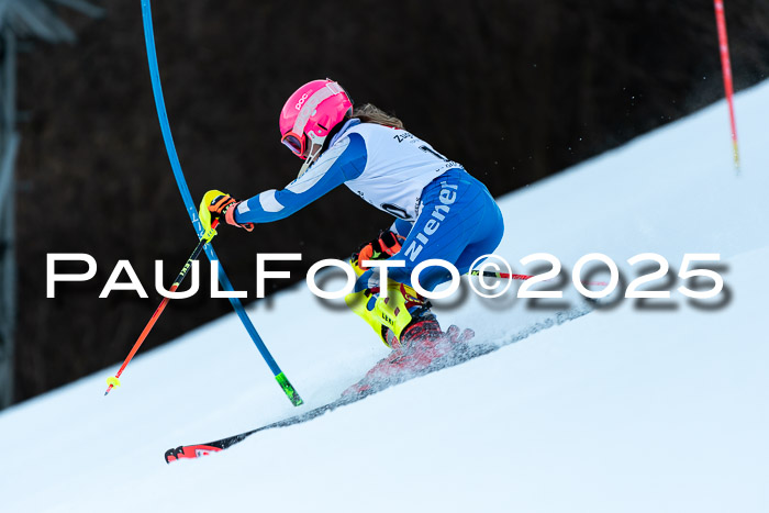 BZB CUP SL  08.02.2025    