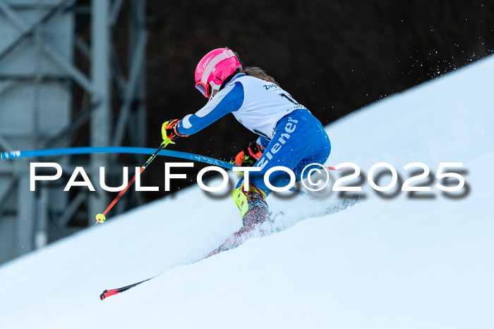 BZB CUP SL  08.02.2025    
