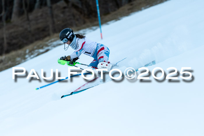 BZB CUP SL  08.02.2025    