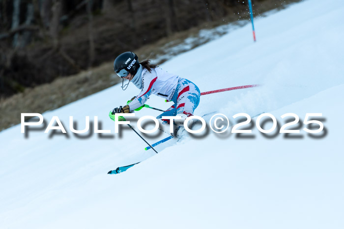 BZB CUP SL  08.02.2025    