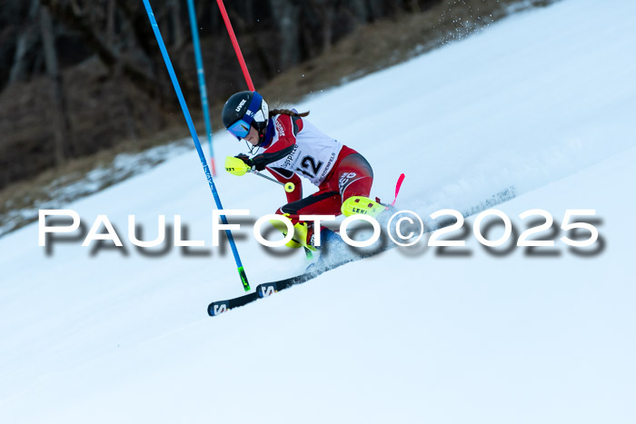 BZB CUP SL  08.02.2025    