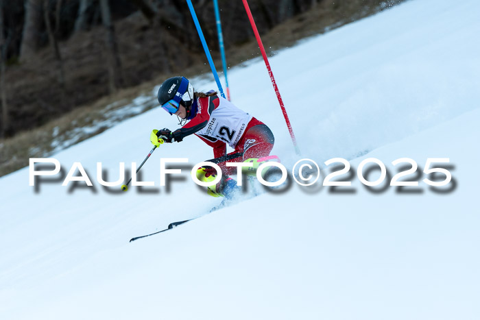 BZB CUP SL  08.02.2025    