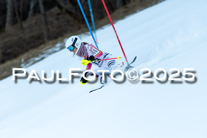 BZB CUP SL  08.02.2025    
