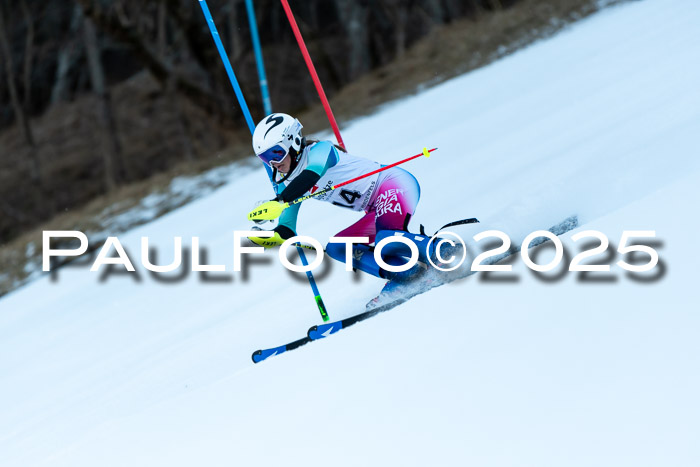 BZB CUP SL  08.02.2025    