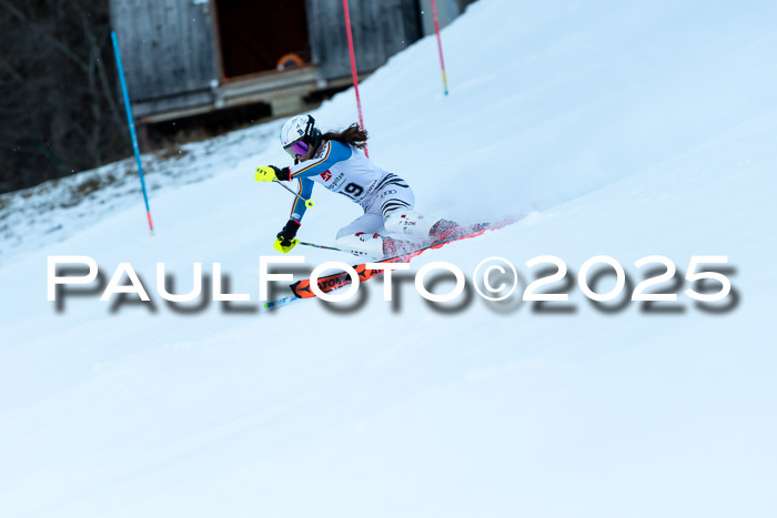BZB CUP SL  08.02.2025    