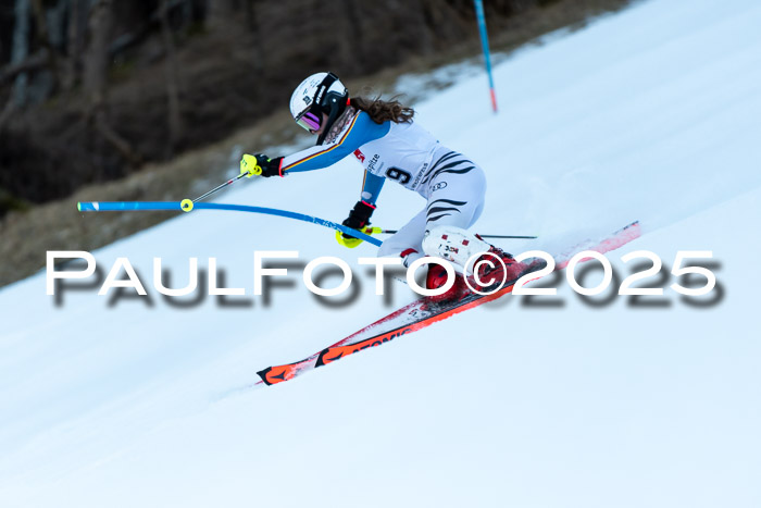 BZB CUP SL  08.02.2025    