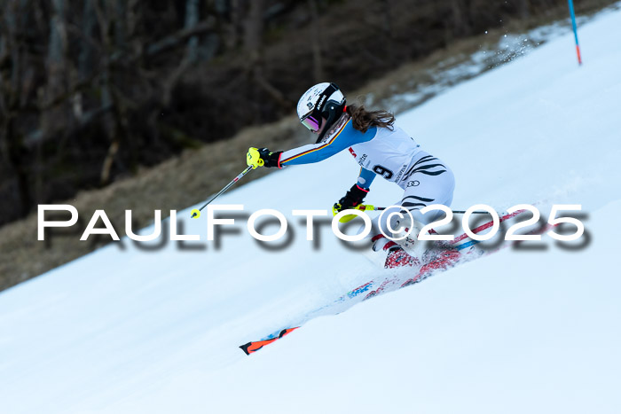 BZB CUP SL  08.02.2025    