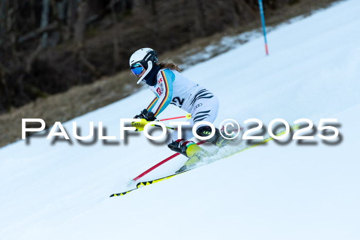 BZB CUP SL  08.02.2025    