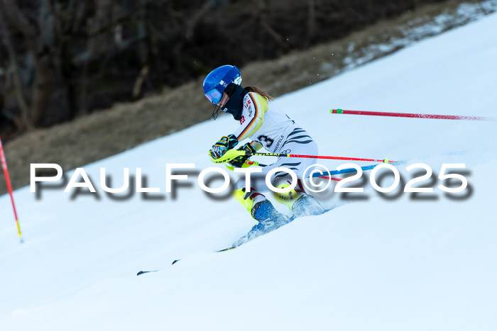 BZB CUP SL  08.02.2025    