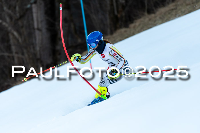 BZB CUP SL  08.02.2025    