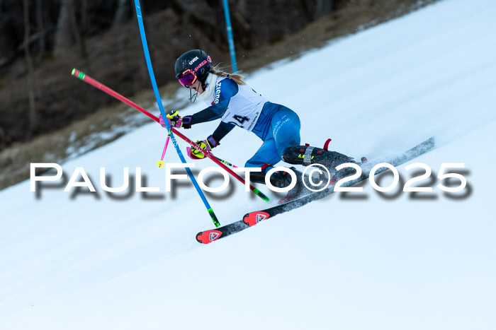 BZB CUP SL  08.02.2025    