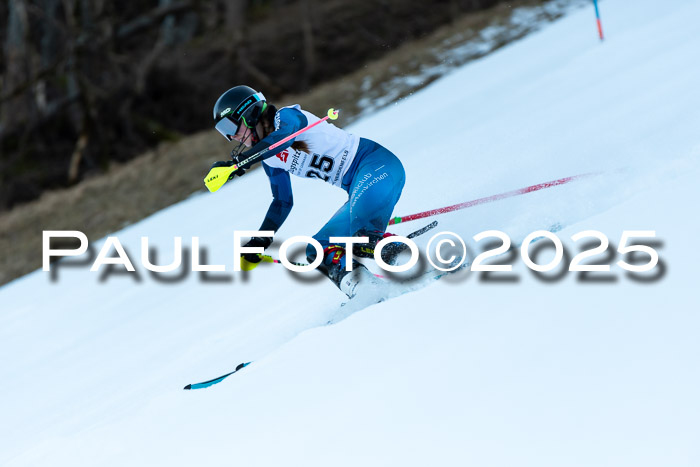 BZB CUP SL  08.02.2025    