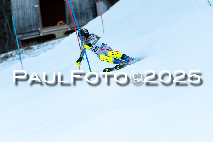BZB CUP SL  08.02.2025    