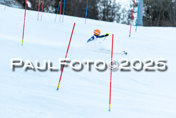 BZB CUP SL  08.02.2025    