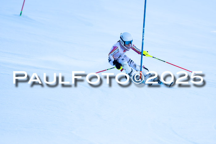 BZB CUP SL  08.02.2025    