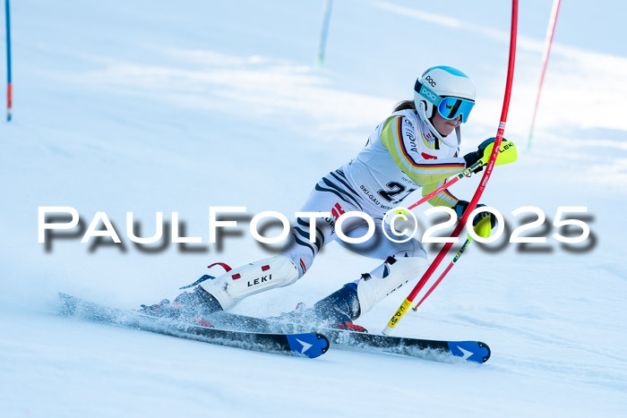 BZB CUP SL  08.02.2025    