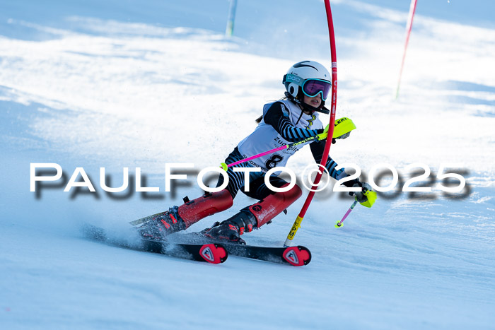 BZB CUP SL  08.02.2025    