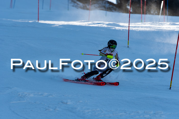 BZB CUP SL  08.02.2025    