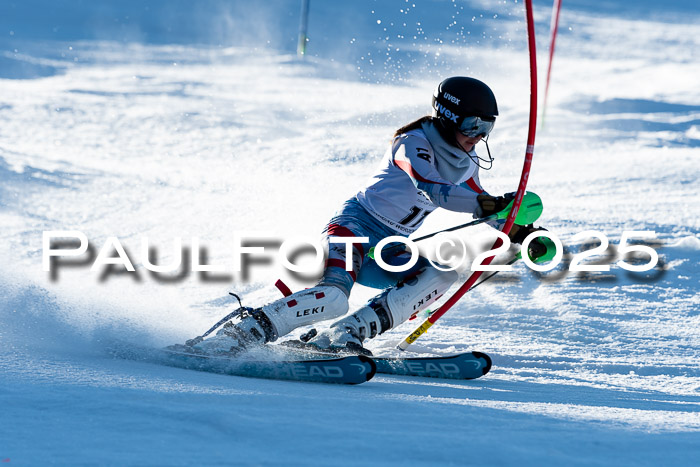 BZB CUP SL  08.02.2025    