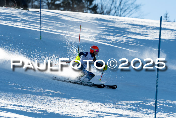 BZB CUP SL  08.02.2025    