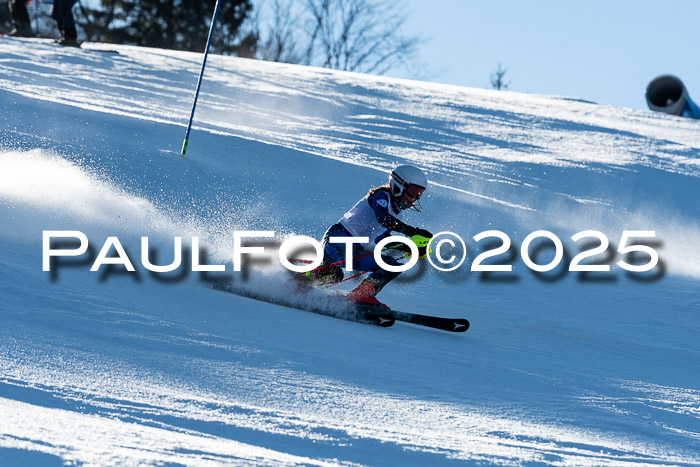 BZB CUP SL  08.02.2025    