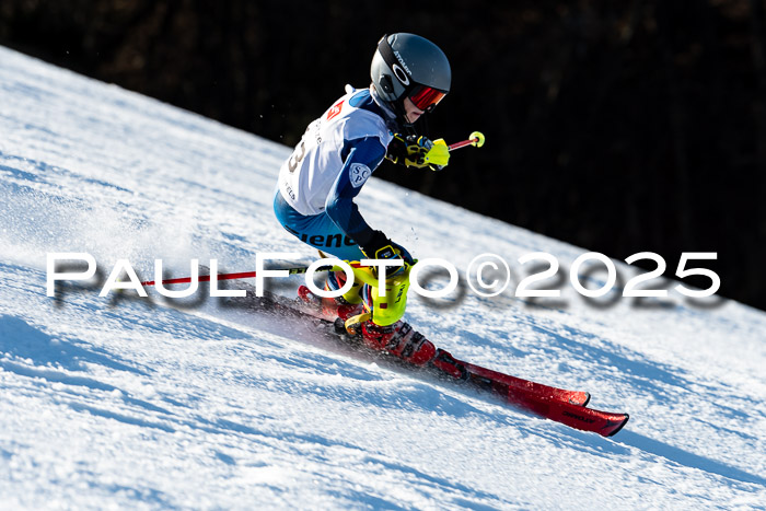 BZB CUP SL  08.02.2025    