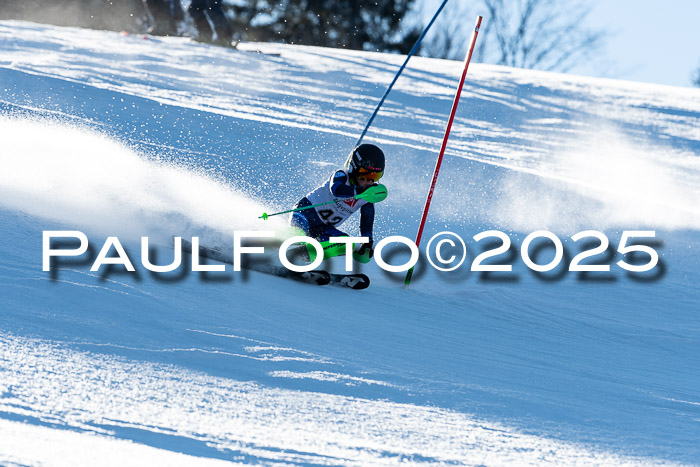 BZB CUP SL  08.02.2025    