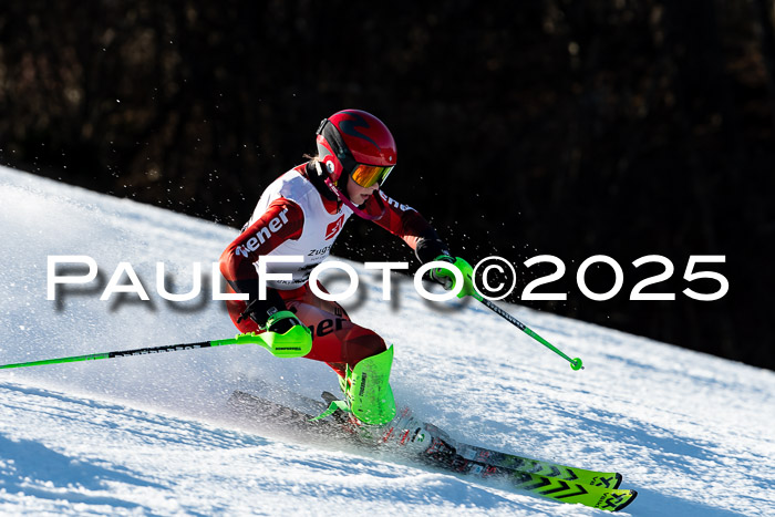 BZB CUP SL  08.02.2025    