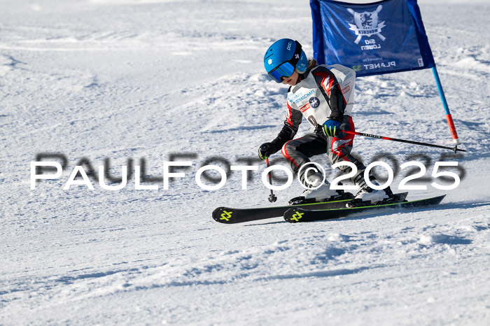 7. Münchner Skimeisterschaft, 08.02.2025