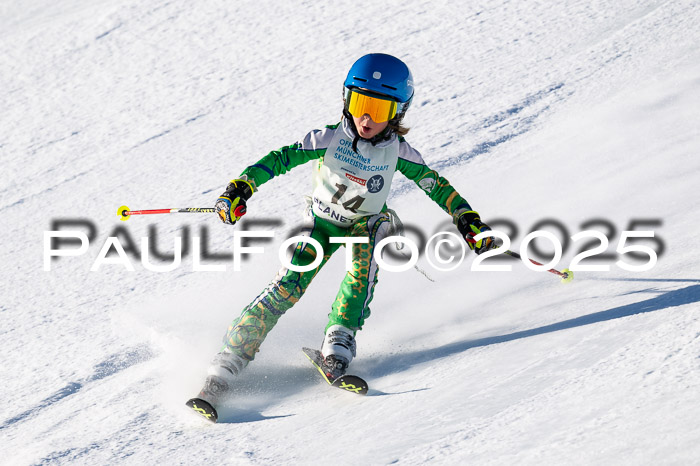 7. Münchner Skimeisterschaft, 08.02.2025