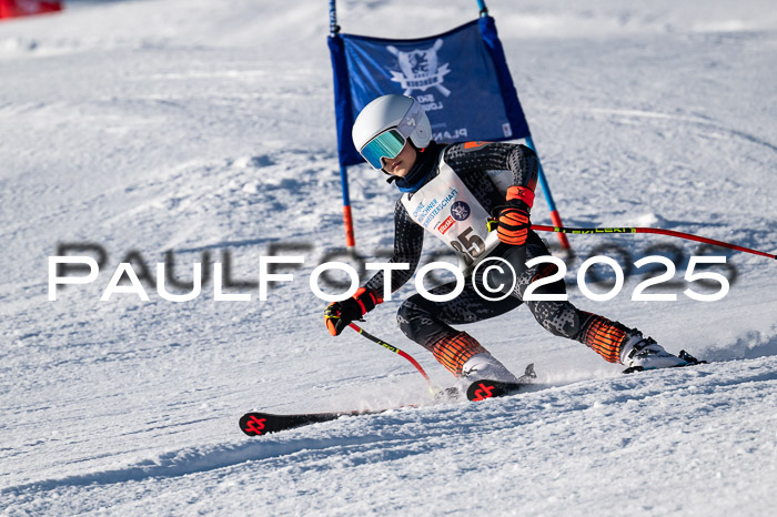 7. Münchner Skimeisterschaft, 08.02.2025