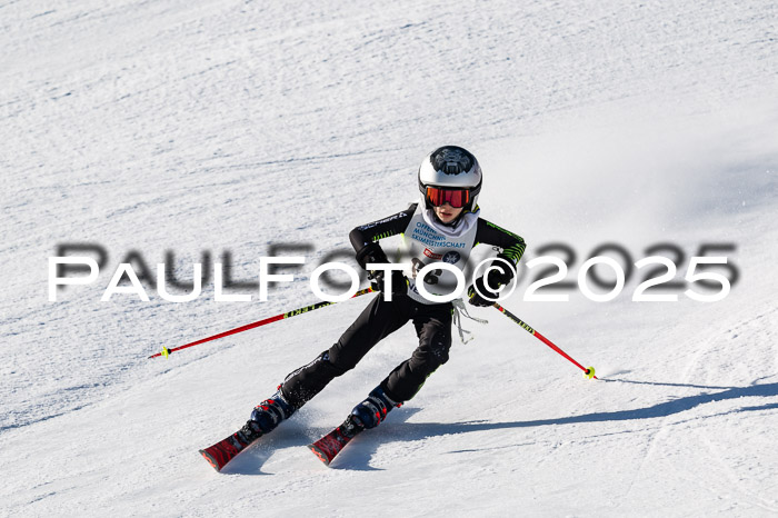 7. Münchner Skimeisterschaft, 08.02.2025