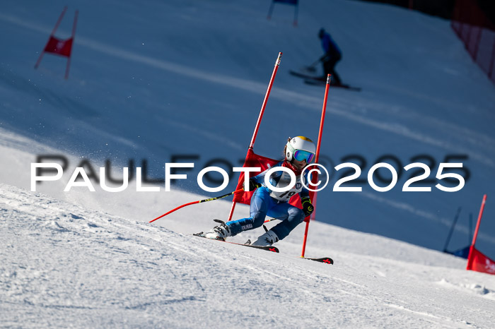 7. Münchner Skimeisterschaft, 08.02.2025