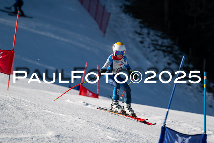 7. Münchner Skimeisterschaft, 08.02.2025