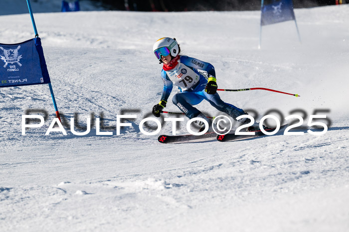 7. Münchner Skimeisterschaft, 08.02.2025