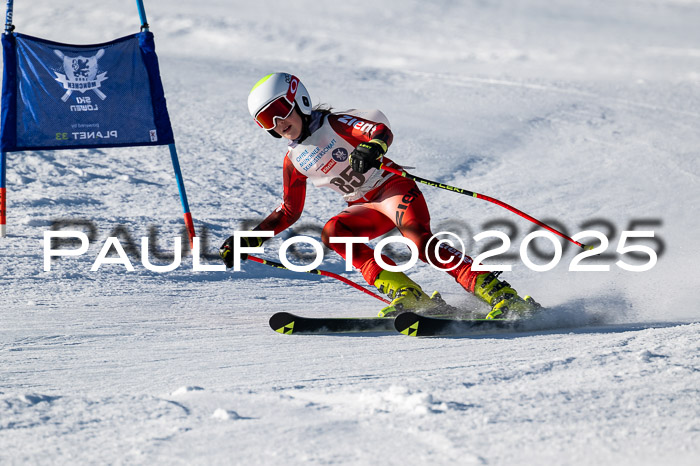 7. Münchner Skimeisterschaft, 08.02.2025