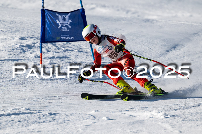7. Münchner Skimeisterschaft, 08.02.2025