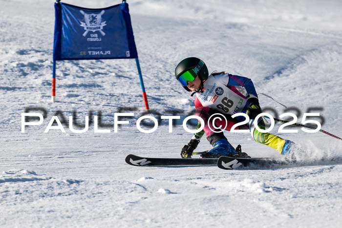 7. Münchner Skimeisterschaft, 08.02.2025