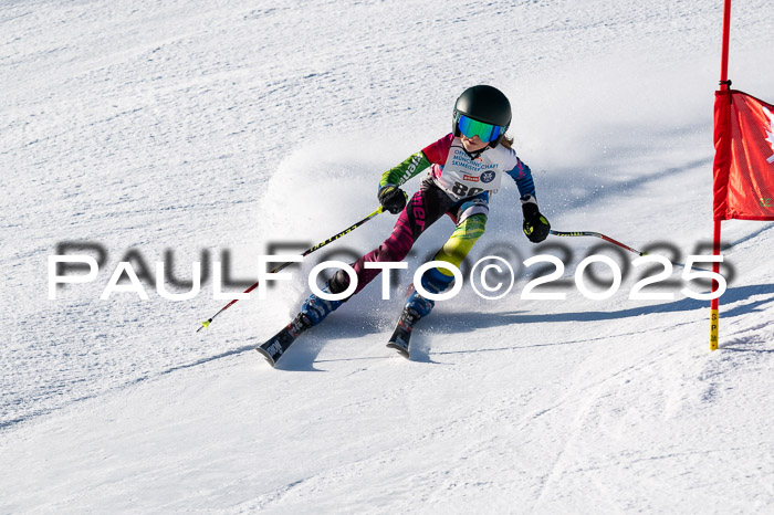 7. Münchner Skimeisterschaft, 08.02.2025