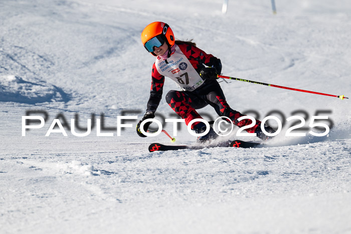 7. Münchner Skimeisterschaft, 08.02.2025